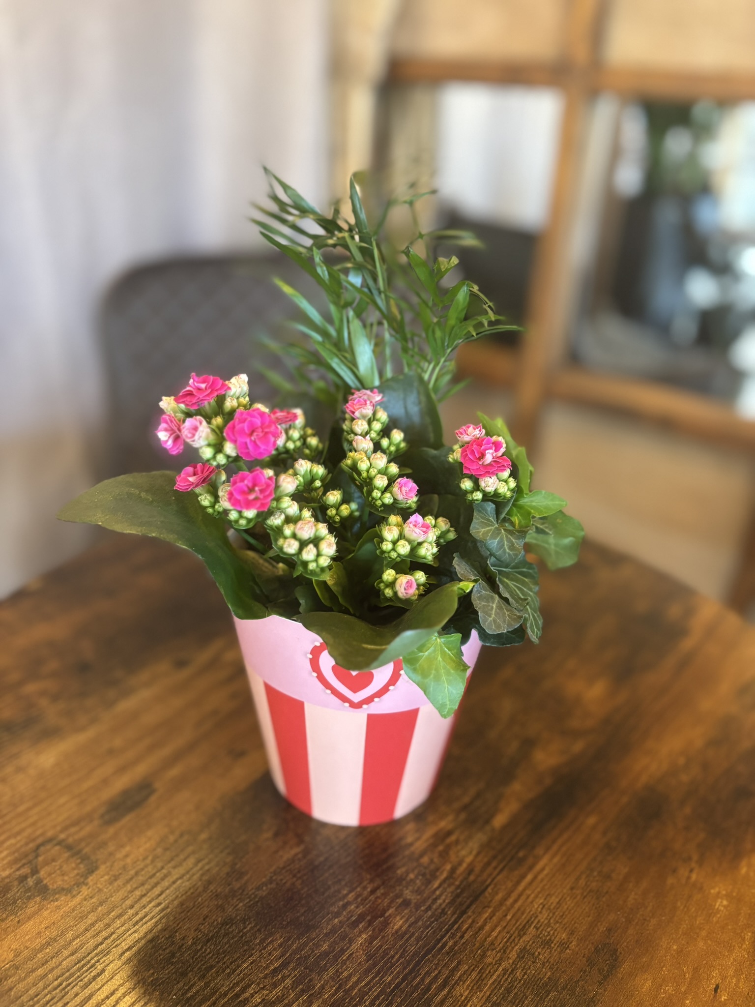 IMG_5253 Valentin-napi korallvirág kompozíció szíves kaspóban"